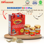 KOREANEST KID PRO